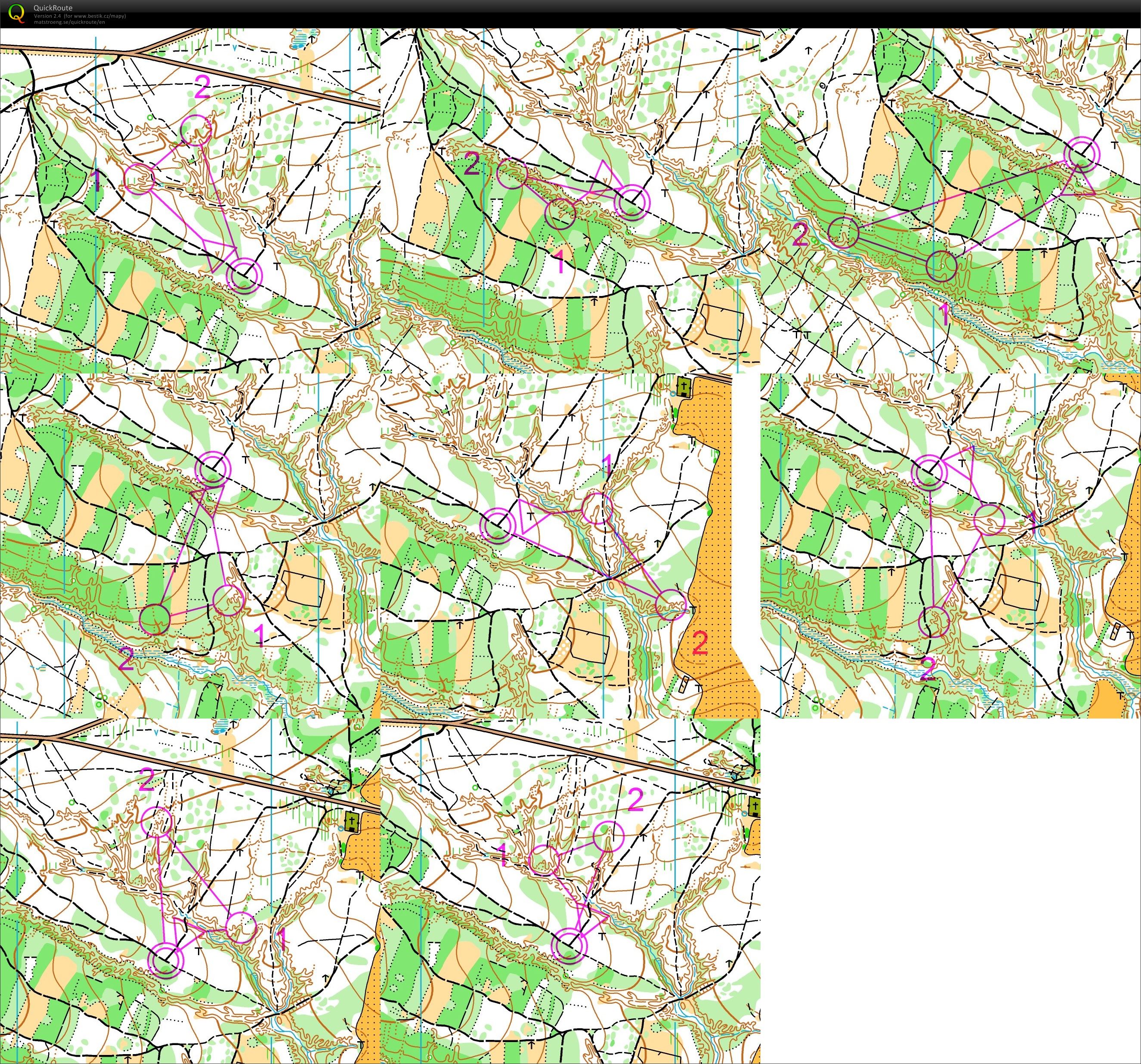 TC Plzen - Loops (31.03.2013)
