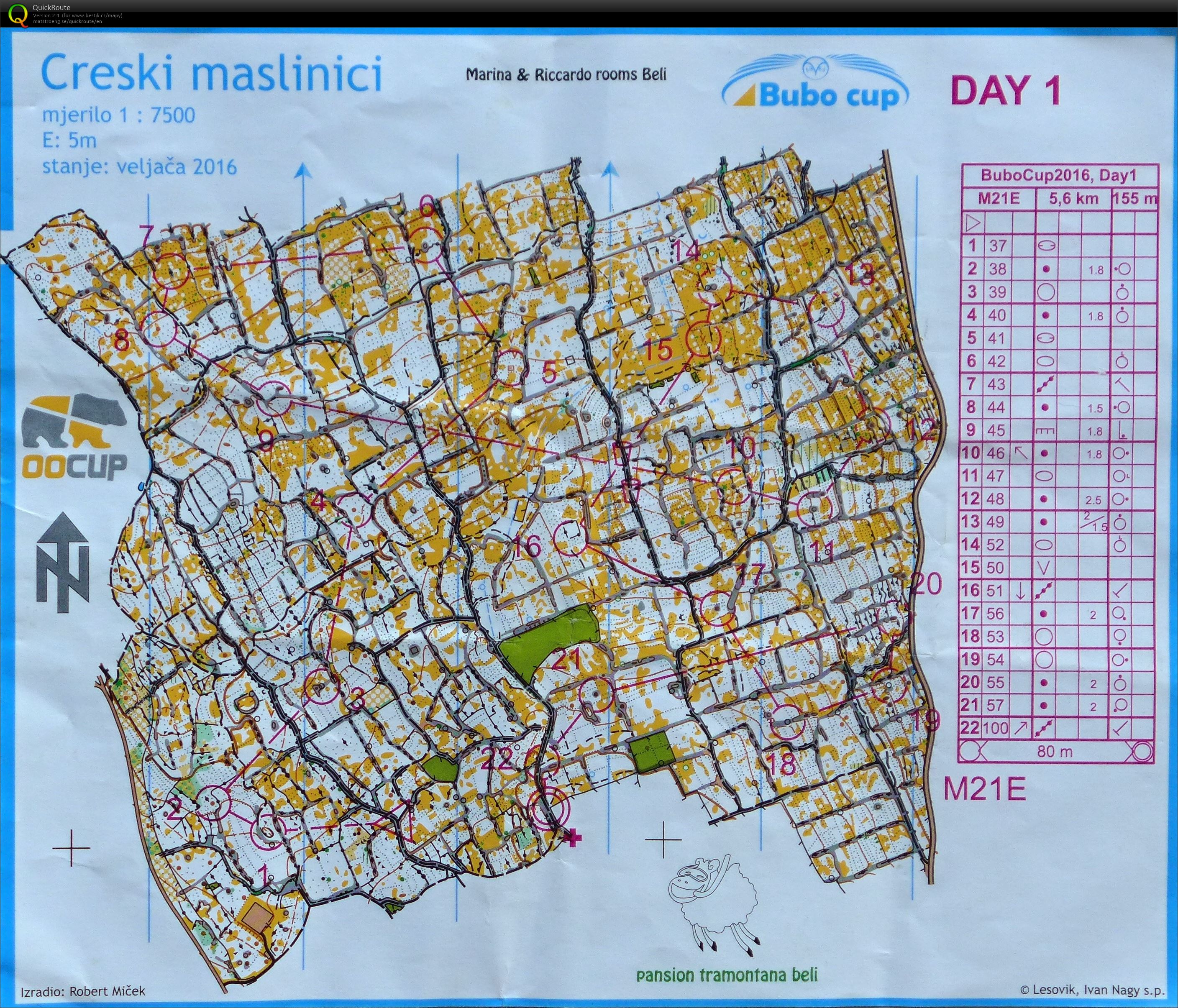 Bubo cup E1 (03/08/2016)