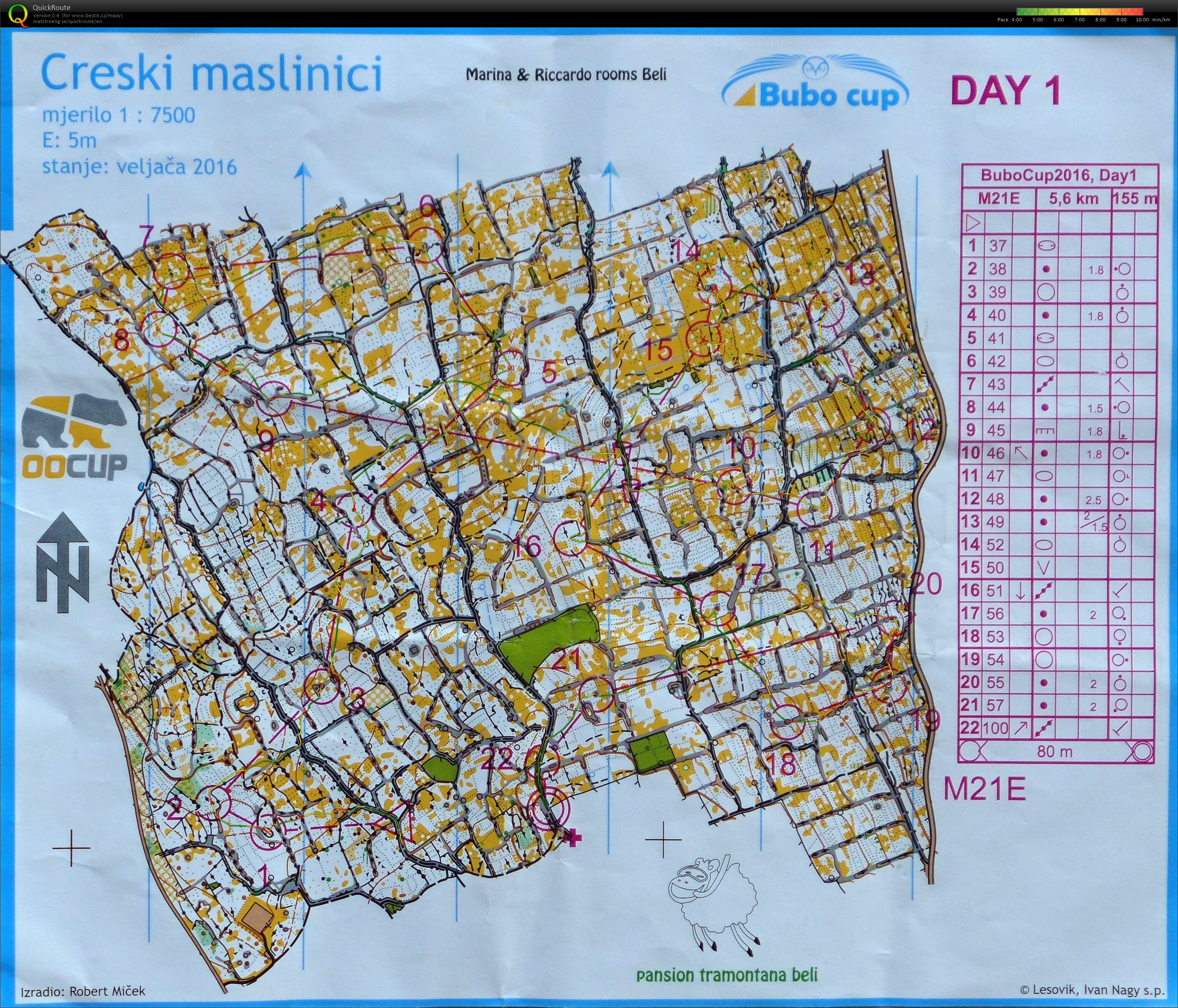 Bubo cup E1 (03/08/2016)