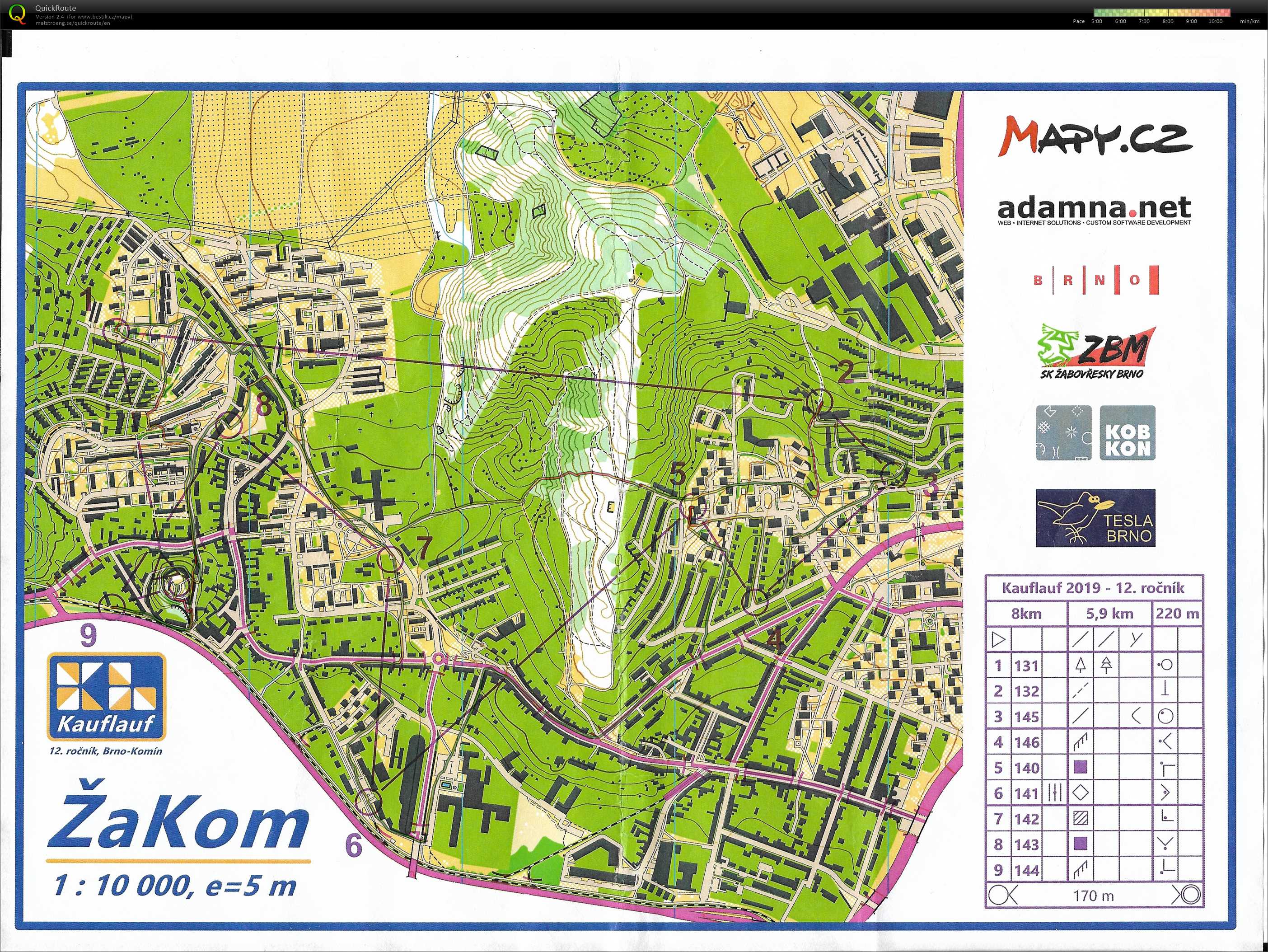 Kauflauf  (03/03/2019)
