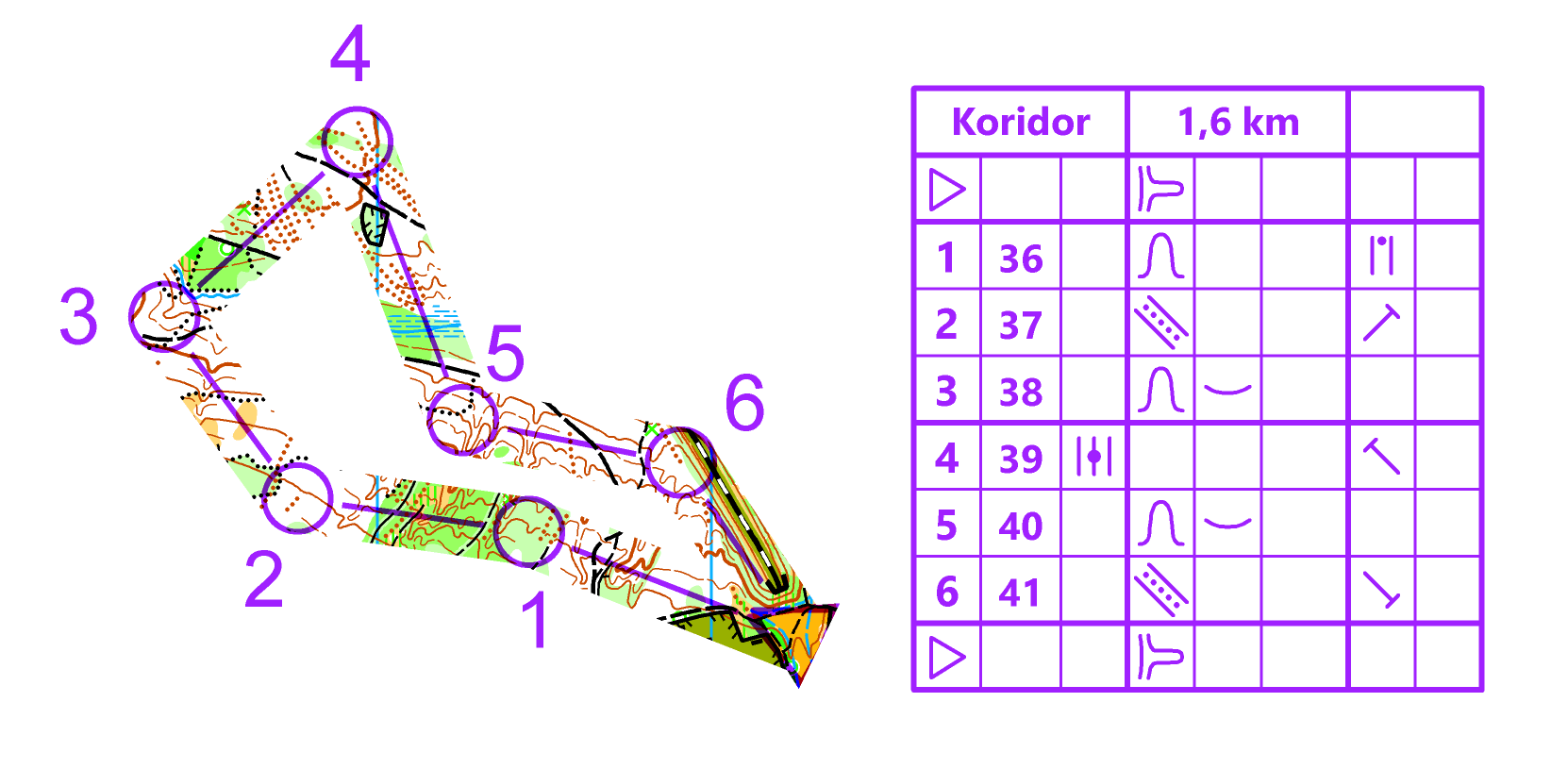 Radostice pásy (2020-06-17)