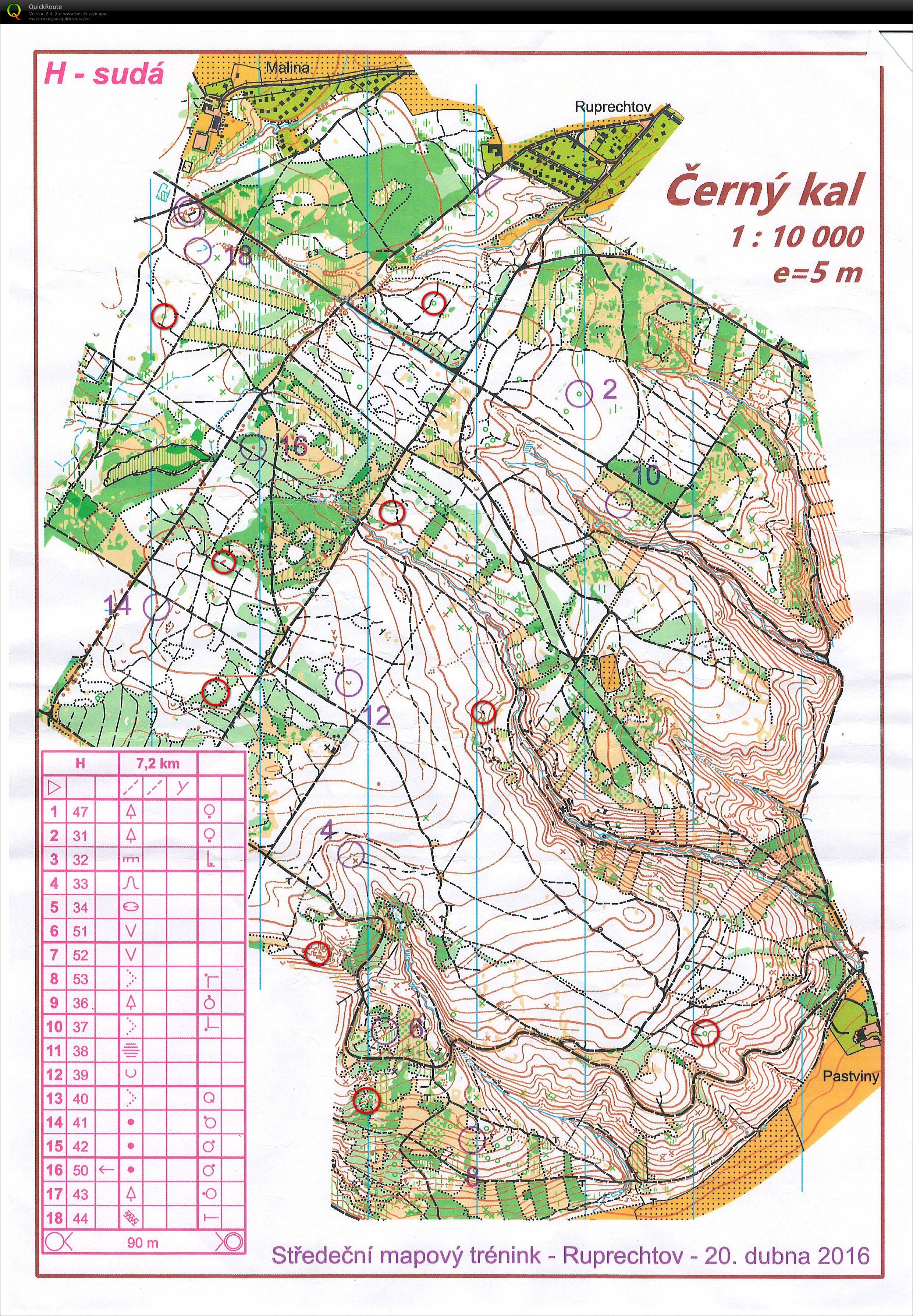 Pair training (20.04.2016)