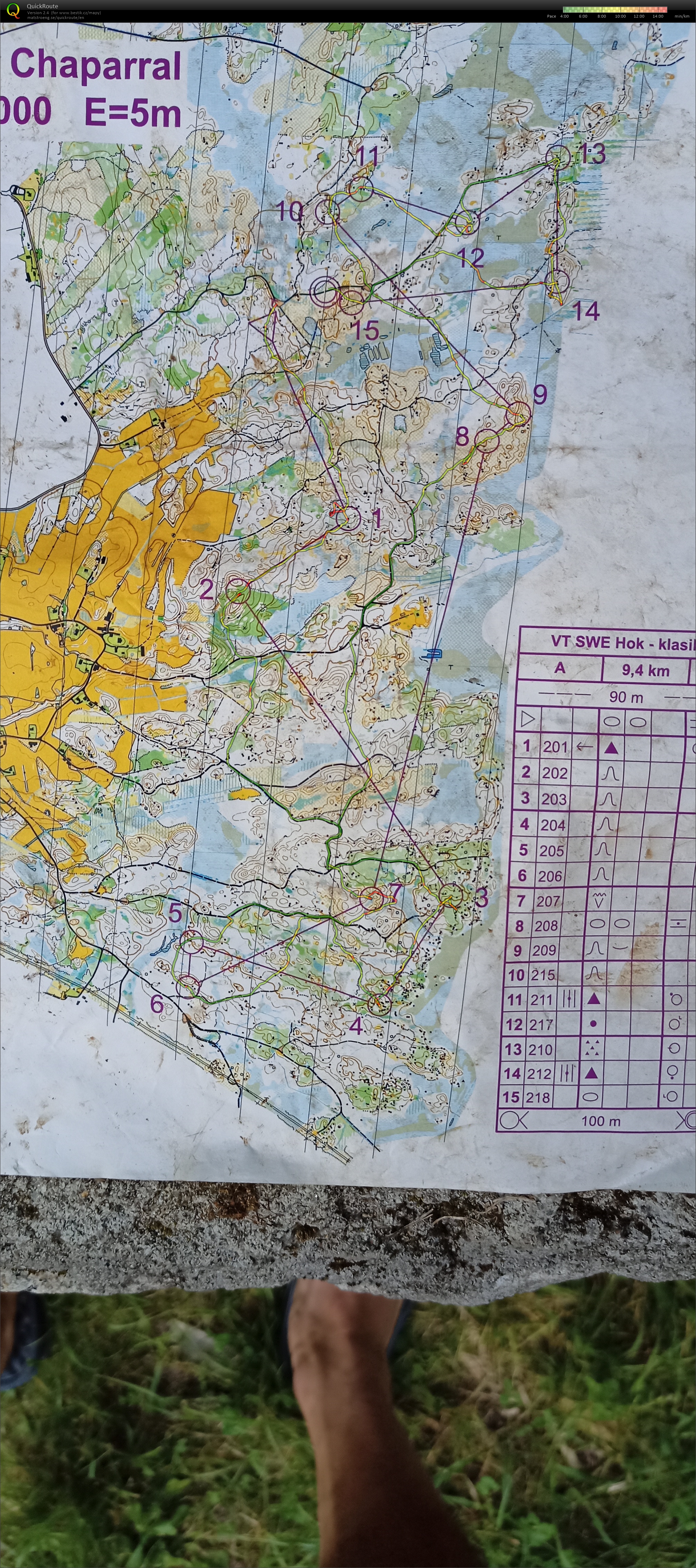 Long #8 (03.08.2021)