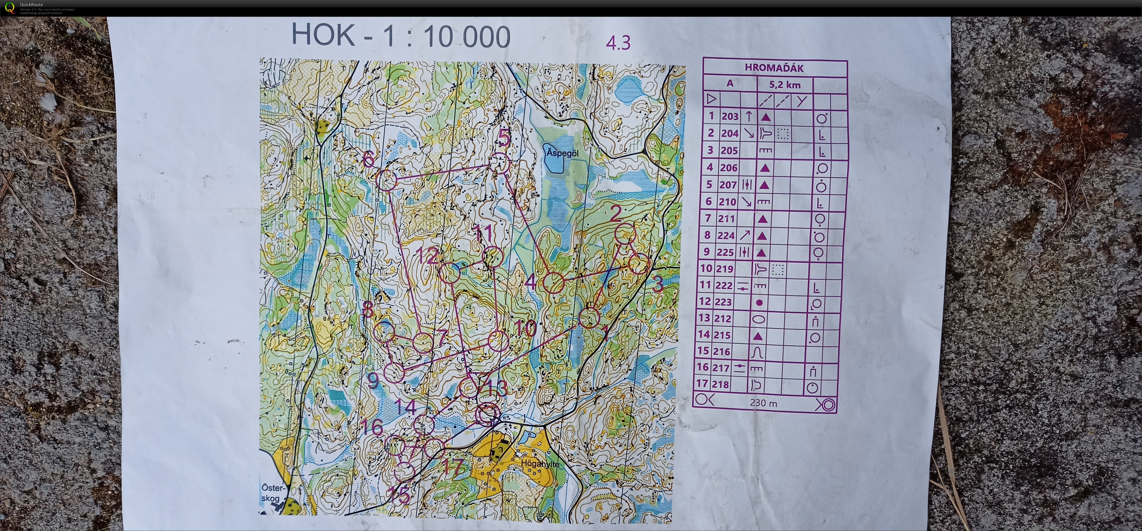 První úsek štafet #12 (05.08.2021)