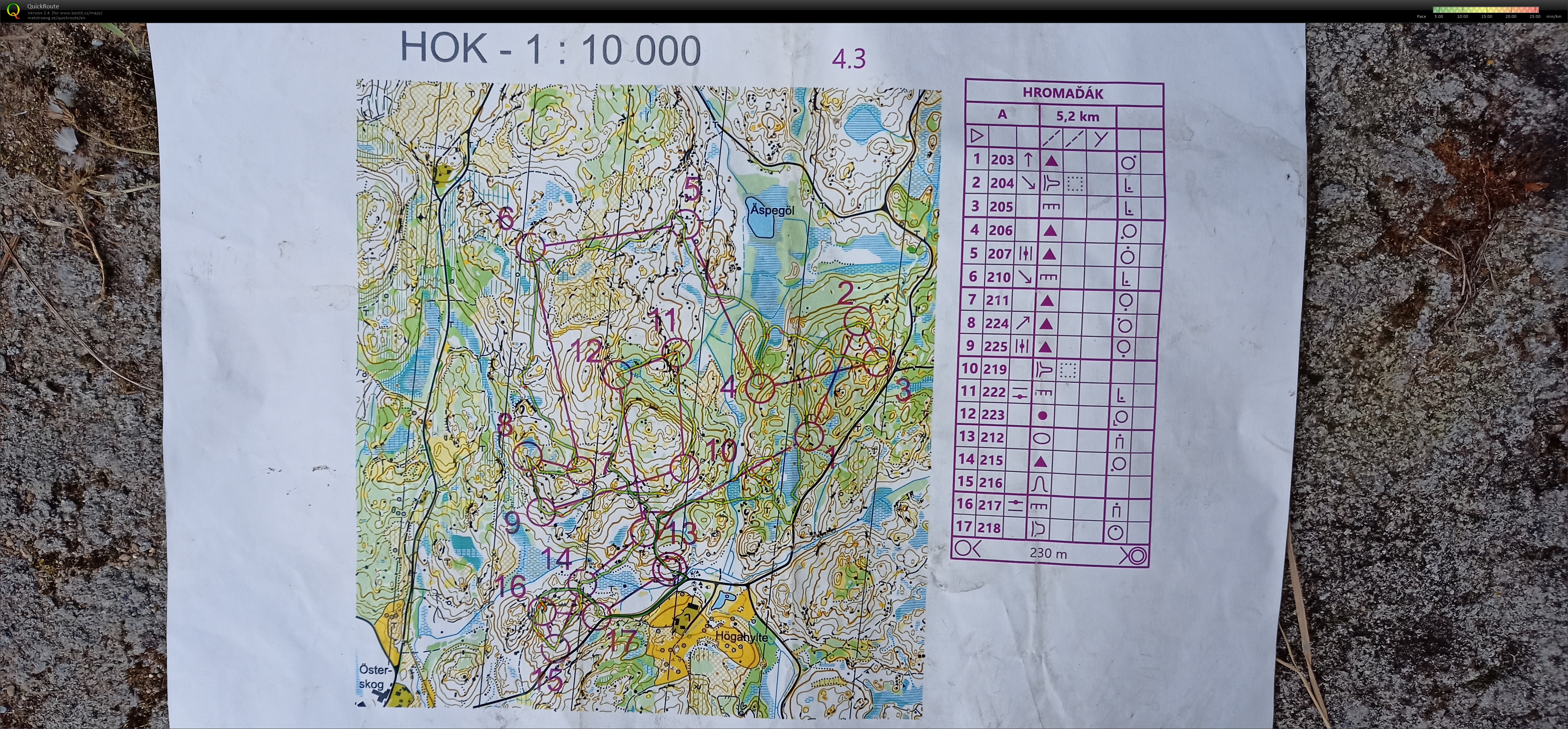 První úsek štafet #12 (05.08.2021)