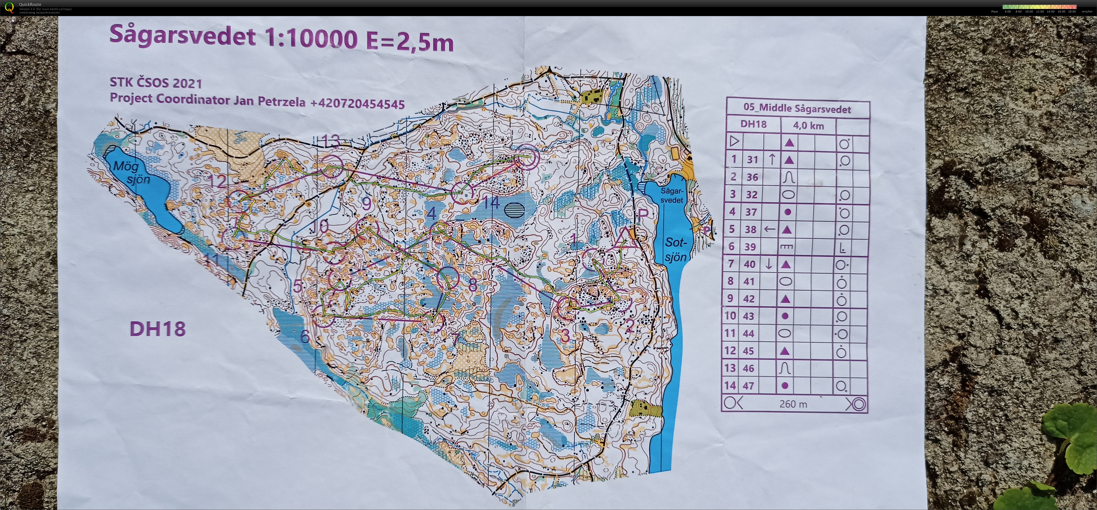 Middle #16 (08.08.2021)