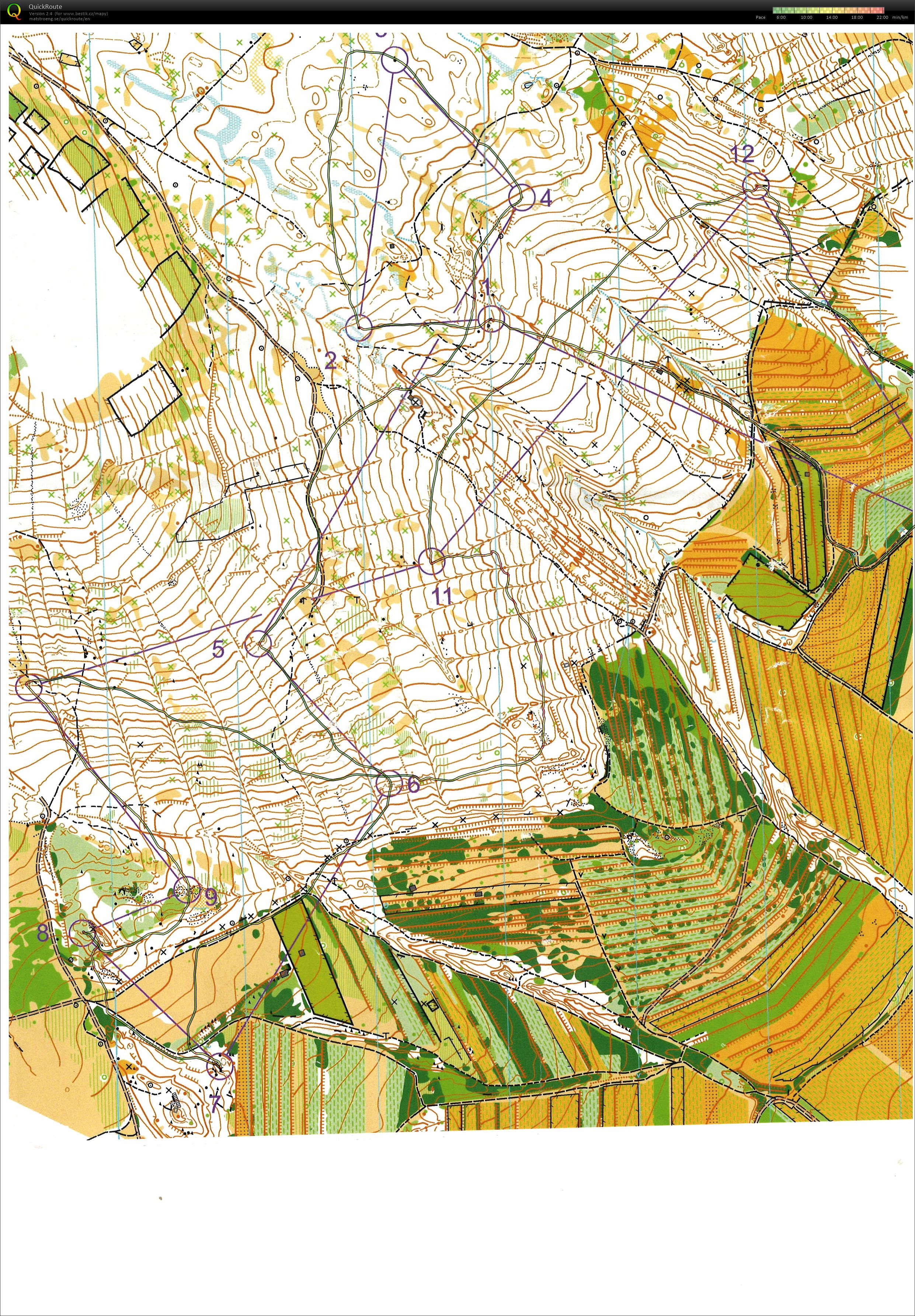 Trojkralový meraný tréning (06/01/2022)