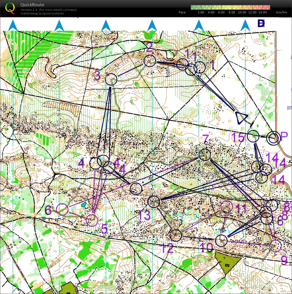 TC Fontainebleau // one-man-relay (18/03/2023)