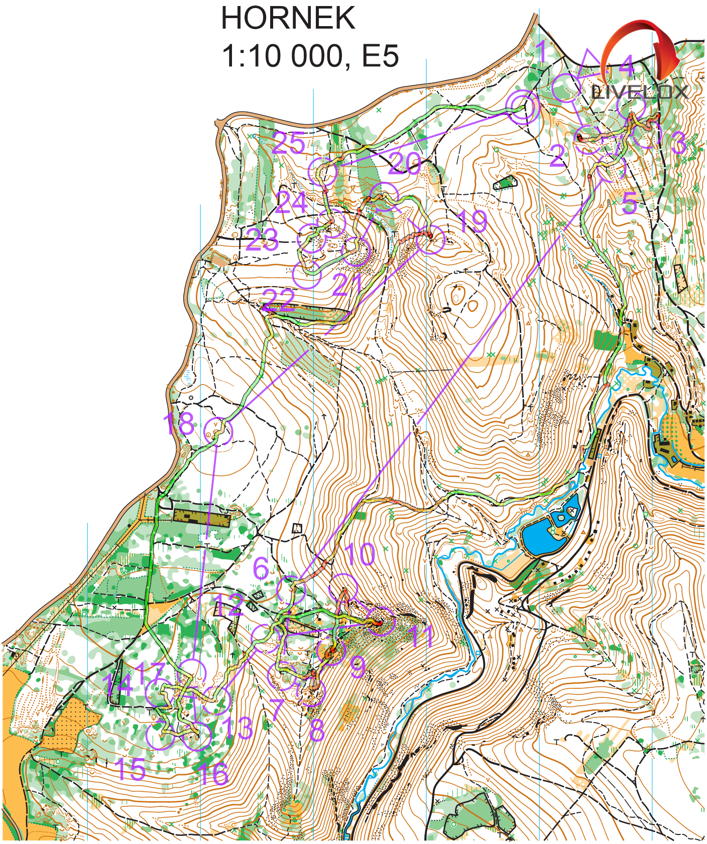 Midlong hornek (25/01/2024)
