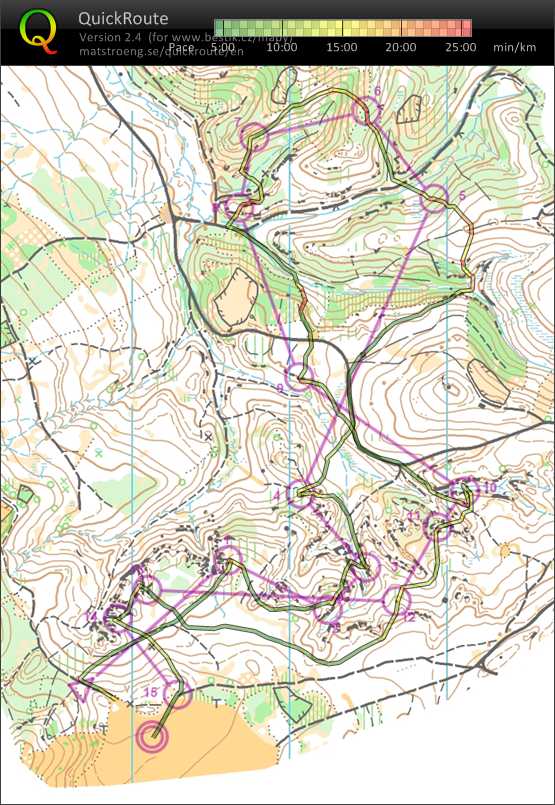 Bohemia orienteering E2 (27.07.2017)