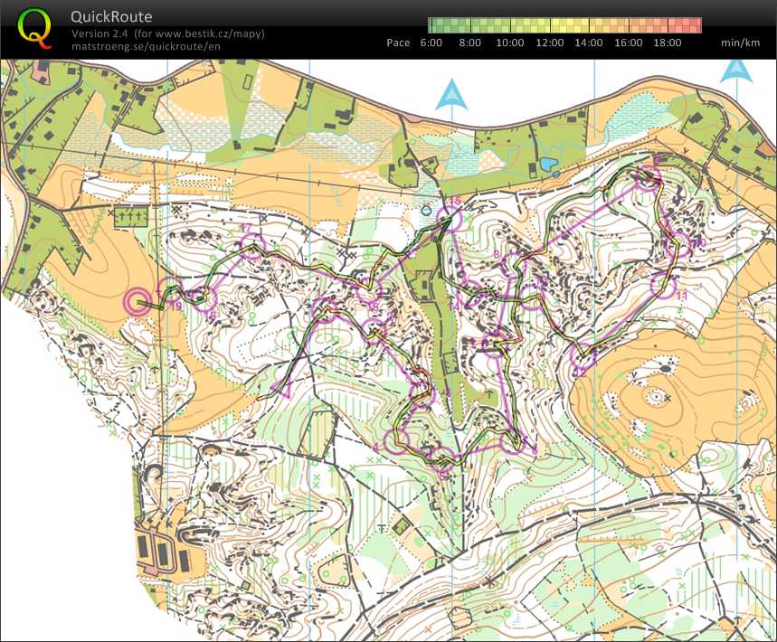 Bohemia orienteering E4 (29/07/2017)